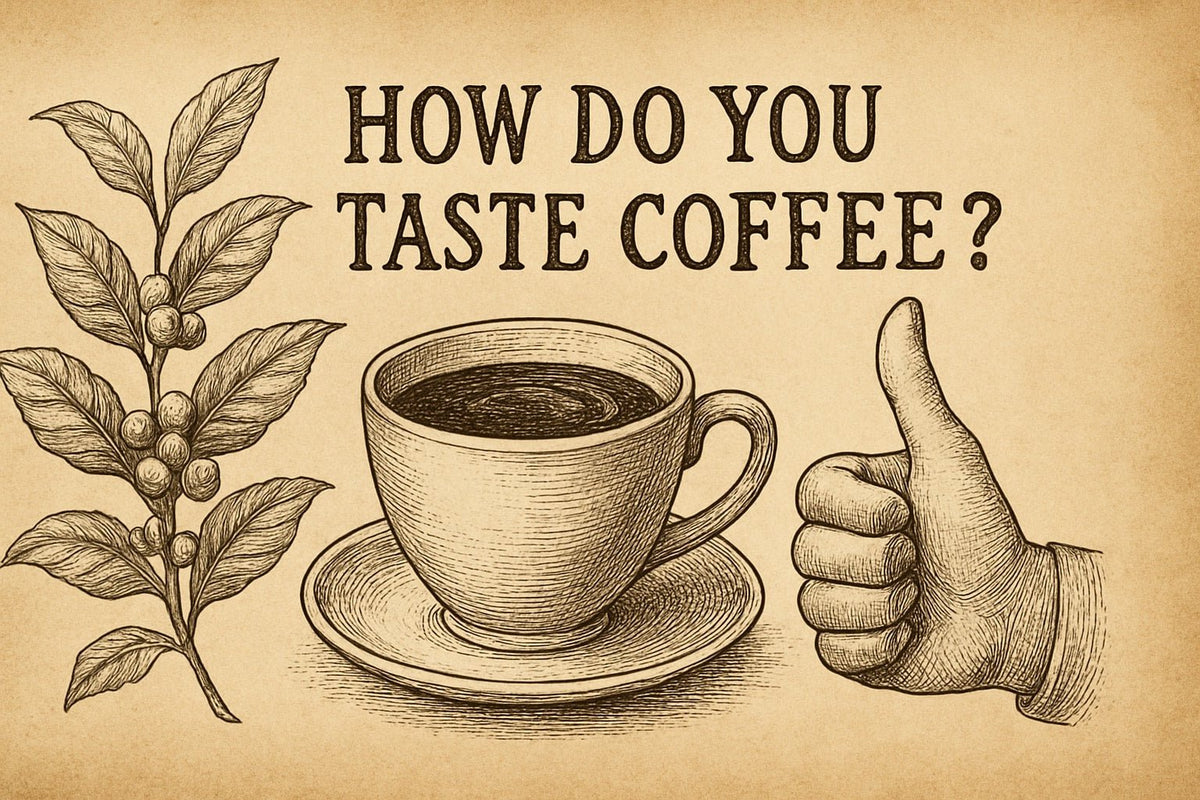 Taste Coffee Like a Pro: Ultimate Guide for 2026 - Pixies Brew
