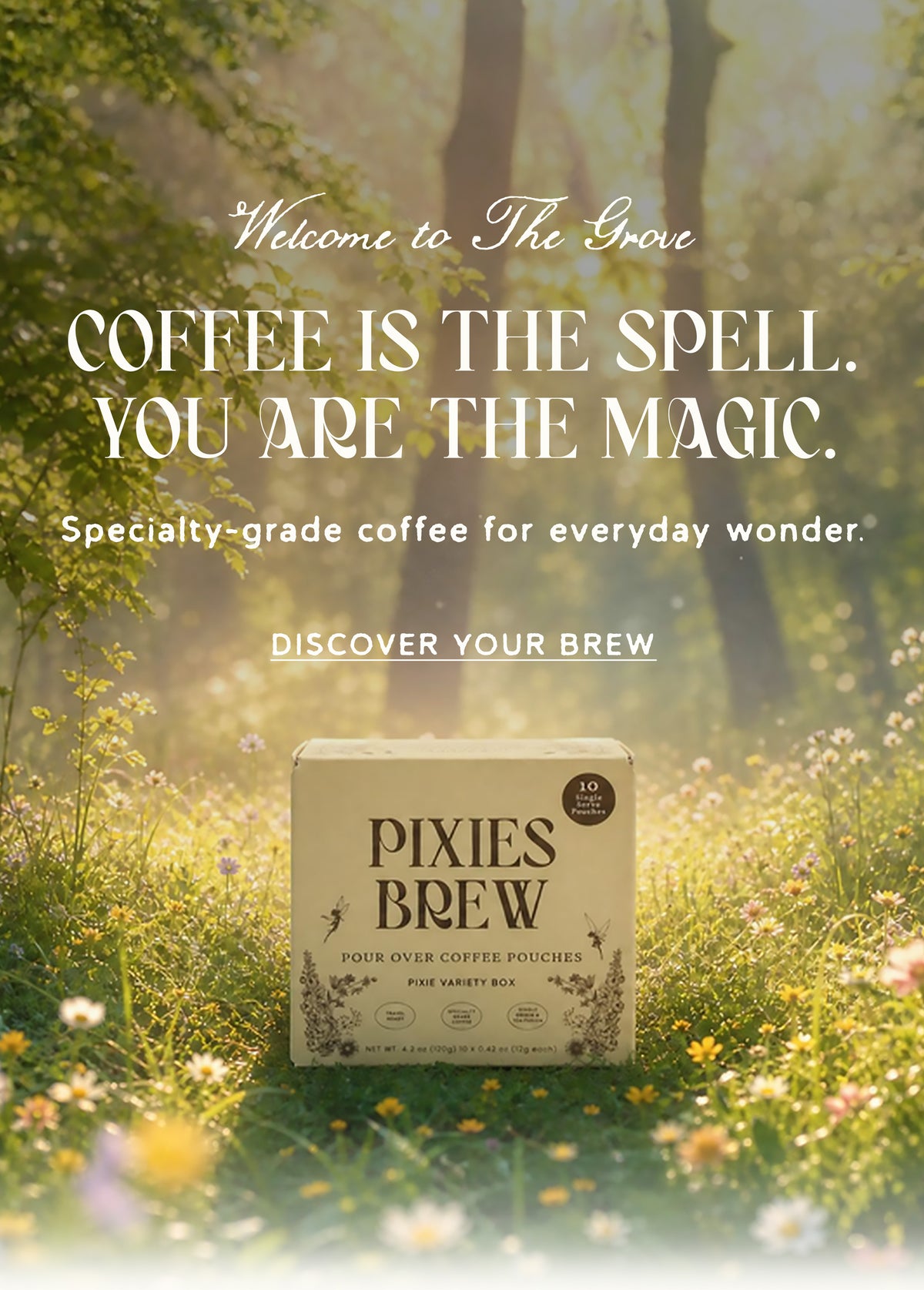 Sunlight through a forest grove above a box of Pixies Brew pour-over coffee pouches