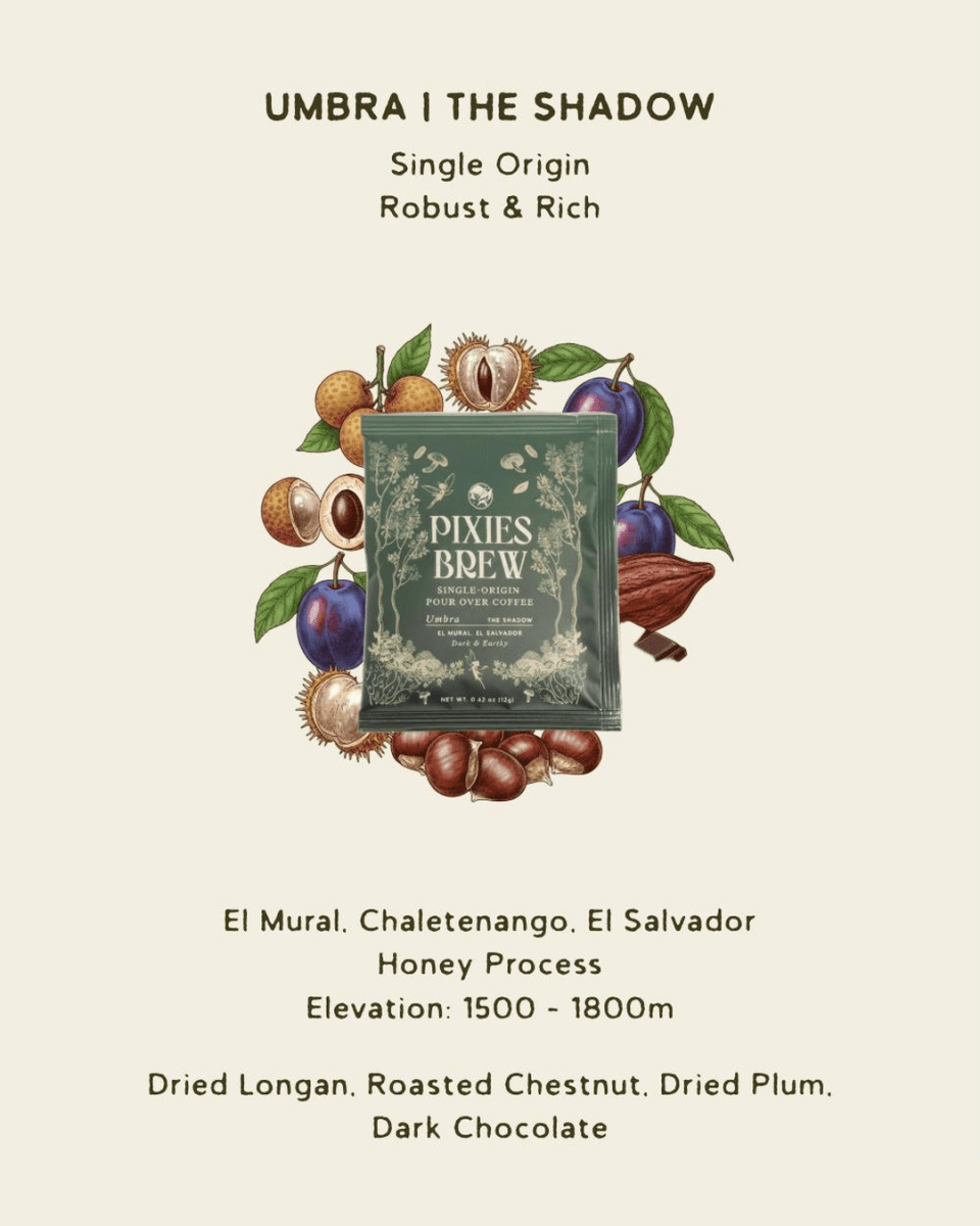 El Mural El Salvador Honey | Umbra's Signature Sachet 10 Pack - Pixies Brew