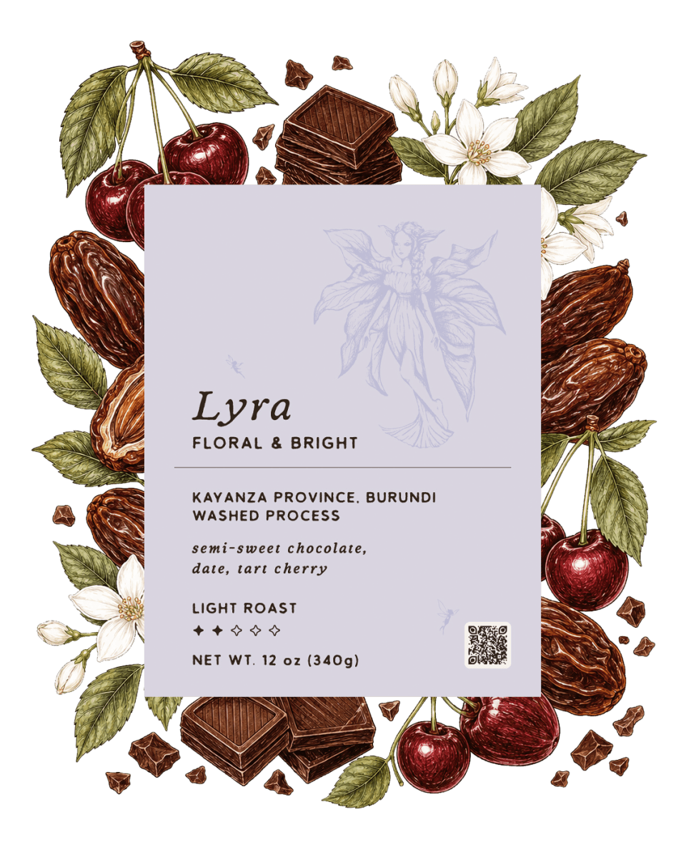 Incuti Burundi Washed | Lyra's Bloom - Pixies Brew