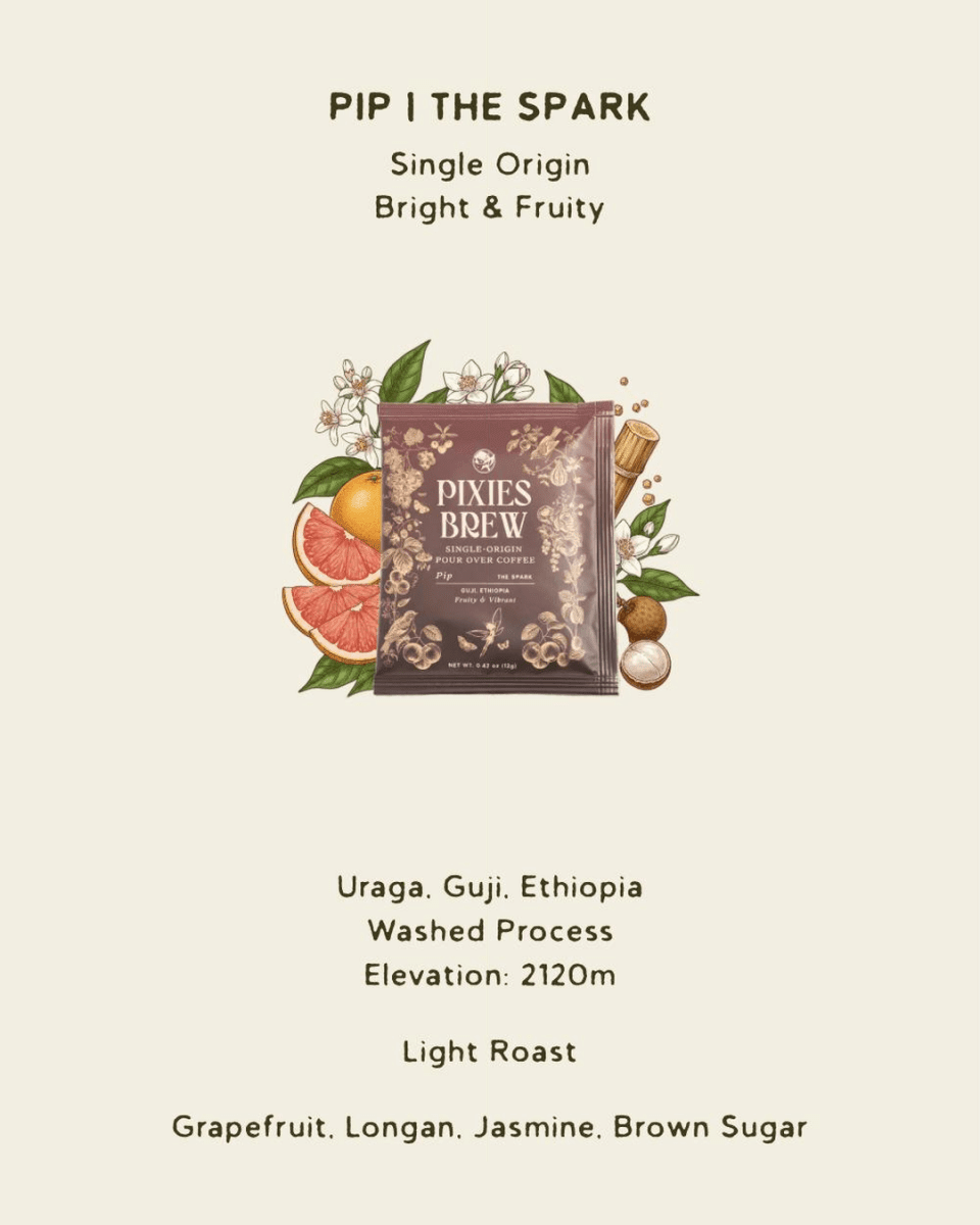 Pixies Brew Discovery Set | Pixie's Signature Sachet 10 Pack - Pixies Brew