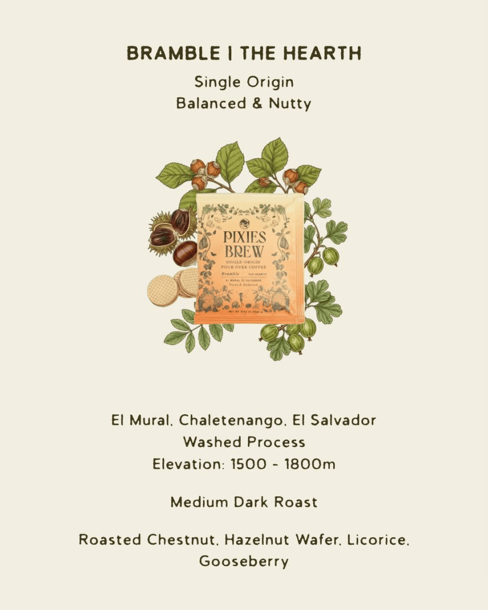 Pixies Brew Discovery Set | Pixie's Signature Sachet 10 Pack - Pixies Brew